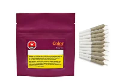 Color Cannabis Mango Haze Pre-Roll 10-pack | 3.5g
