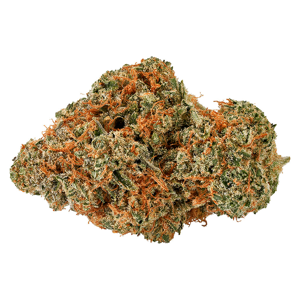 Bud Lafleur Moby Dick