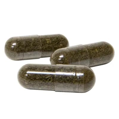 WholeHemp