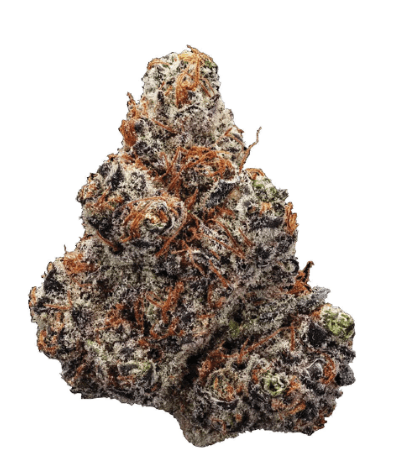 Station House Northern Lights - 14g