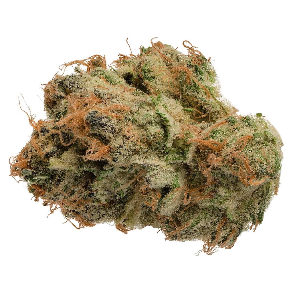 Jonny Chronic Tropicanna
