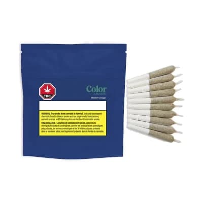 Color Cannabis Blueberry Seagal Pre-Rolls - 10x0.35g Indica