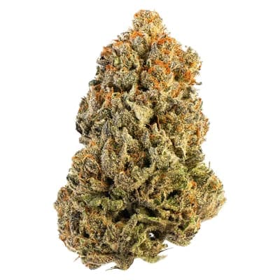 Bud Lafleur Booberry Cookies