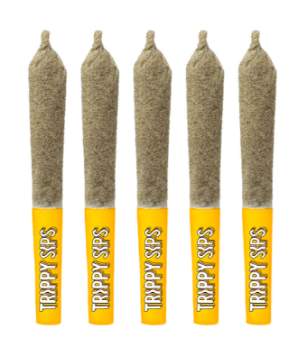 Trippy Sips Peach High-Alive Infused Pre-Roll 5-pack | 2.5g