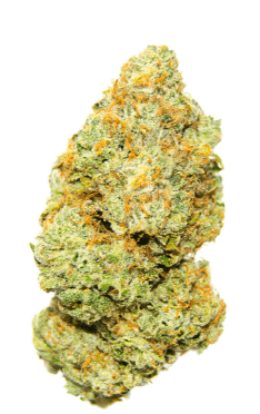 Palmetto Sweet Deep Grapefruit