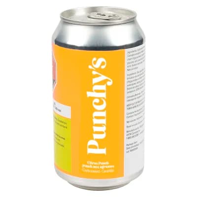 Punchy's Punchys Citrus Punch 355ml