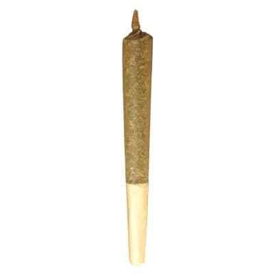 Buddy Blooms BUDDY BLOOMS Sativa Pre-Roll 1x1g
