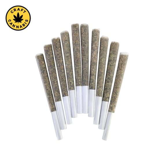 BC Doobies TootZ Pop Pre-Roll - (10x0.5g)