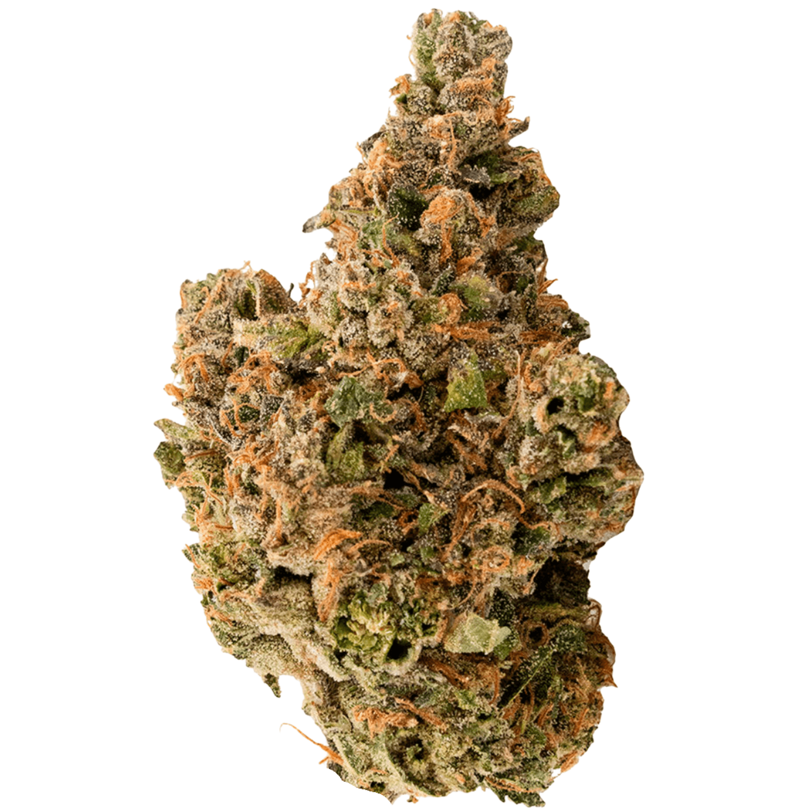 West Coast Gas WEST COAST GAS Heavy Hitter