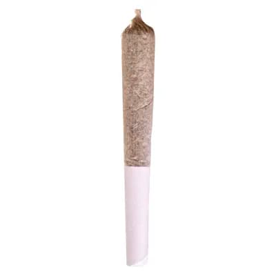 Potluck Mango Dream Pre-Roll - Sativa - 1x0.5g
