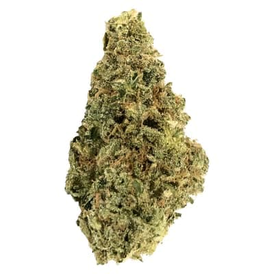Crooked Dory AAA+ Indica