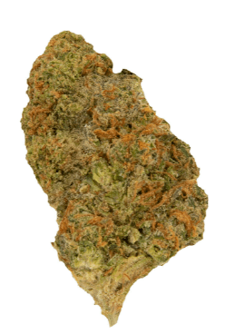 Palmetto Apple Jack