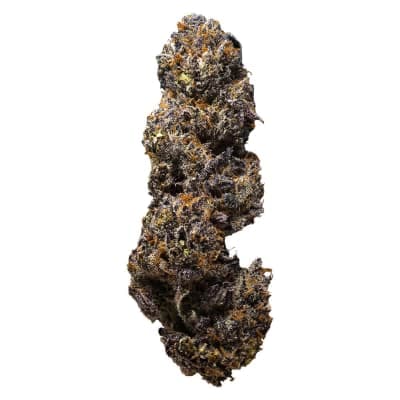 3rd Coast Genetics The Dark Side