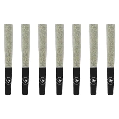 67 Sins Fishy Fingers Pre-Roll 7x0.5g