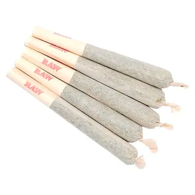 67 Sins Gary Satan Pre-Roll 7x0.5g