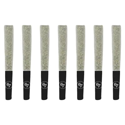 67 Sins Gas Face Pre-Roll 7x0.5g