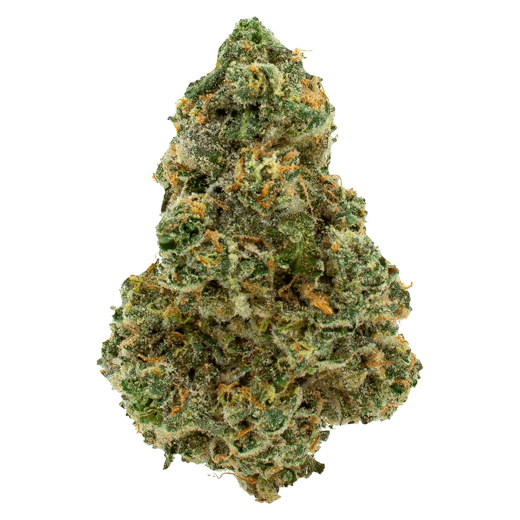 3rd Coast Genetics 3rd Coast Genetics Michigan Melonz