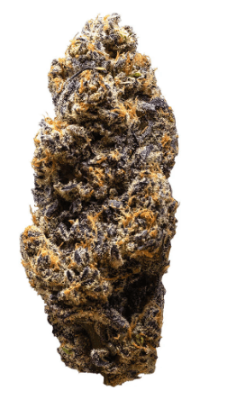 3rd Coast Genetics 3rd Coast Genetics Frozen Cola