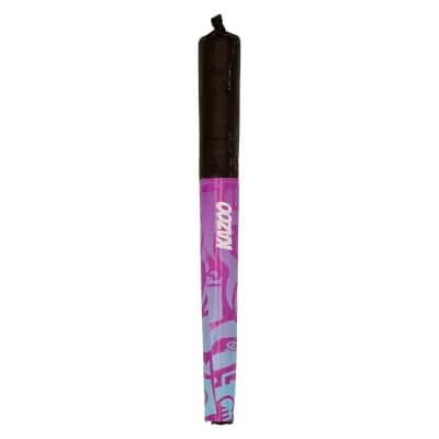 KAZOO