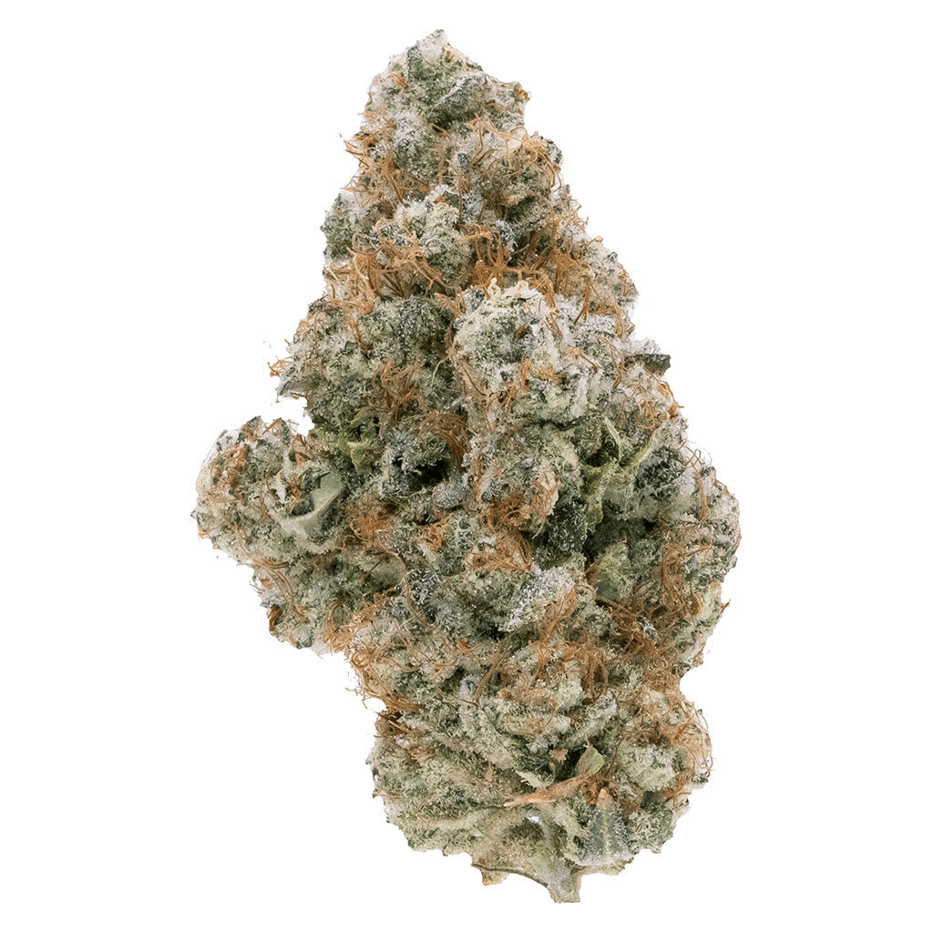 NORTHERN CANNA