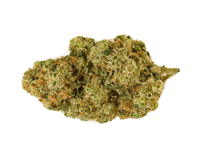San Rafael '71 Electric Honeydew