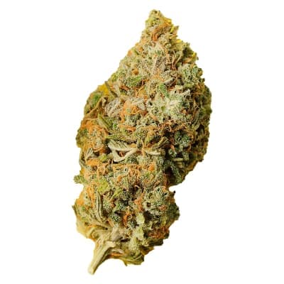 Palmetto Orange Bud | 28g