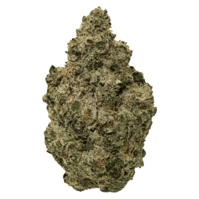 Simply Bare BC Organic Black Zoap | 7g
