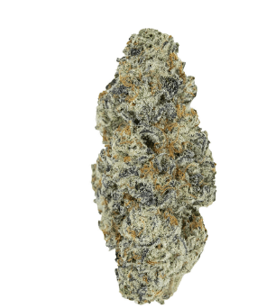 Pistol and Paris Perma Fried (Hawaiian Rain x Permanent Marker) | 3.5g