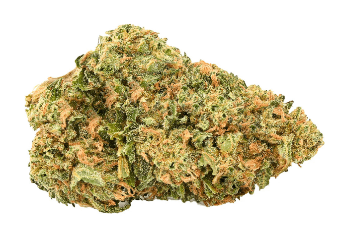 5 Points 144 - 5 Points Cannabis - Gorilla Ghost