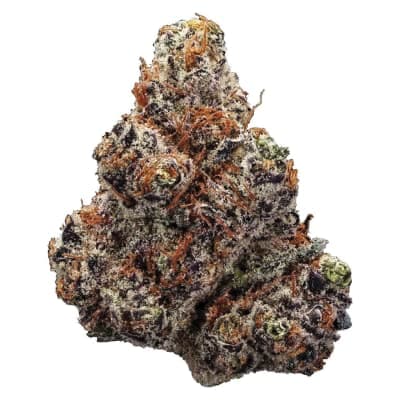 Station House Northern Lights - 14g