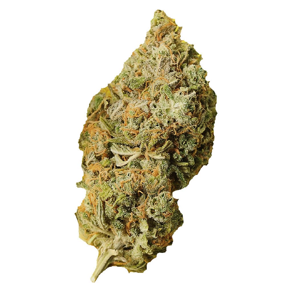 Palmetto Sampler Hybrid
