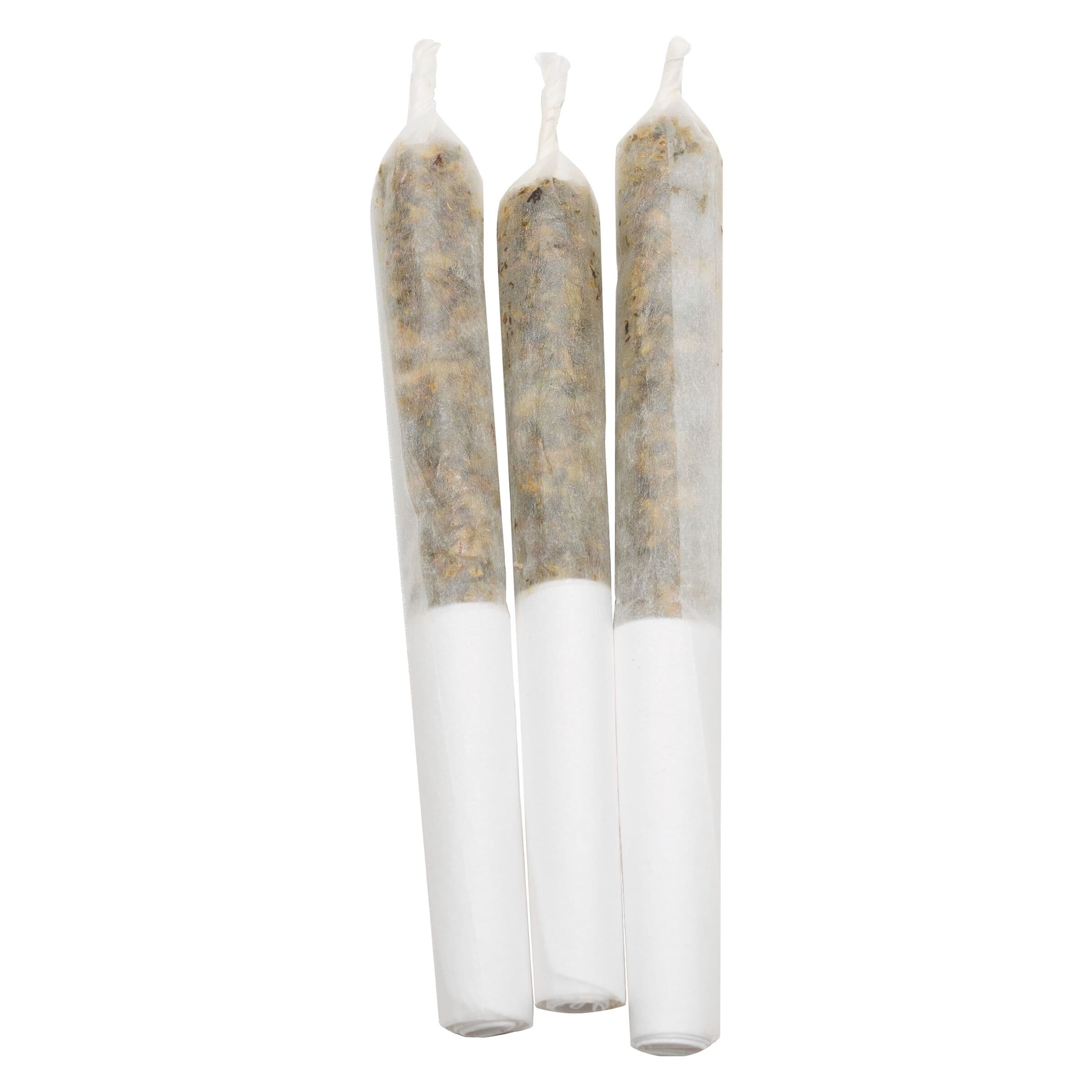 Lamplighter Lamplighter Pog Infused Prerolls 3x0.5g