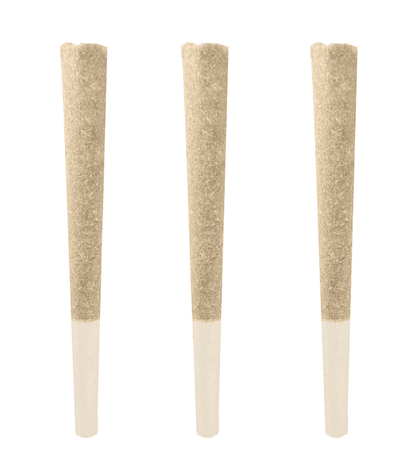 Ivory Aurora Frost Pre-Roll