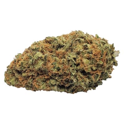 Color Cannabis Blueberry Seagal - 7g Indica