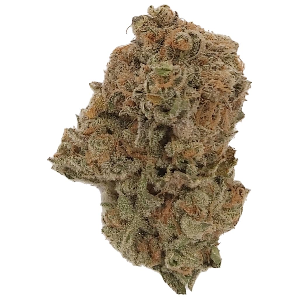 Dykstra Greenhouses Lemon Pepper Spice - Indica