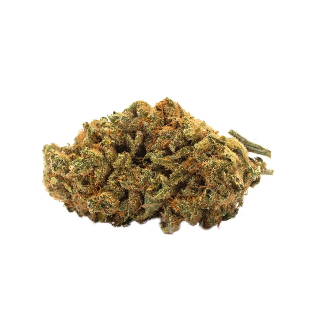 TWD. Indica Indica
