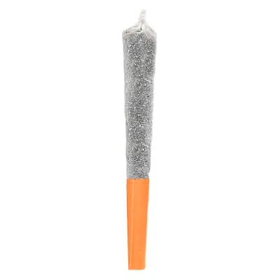 Potluck Mango Hurricane Infused Pre-Roll Single | 0.5g
