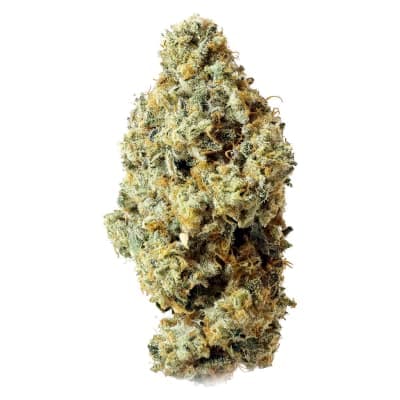 Thumbs Up Frosted Fruit Cake x Sunset Sherb - Indica