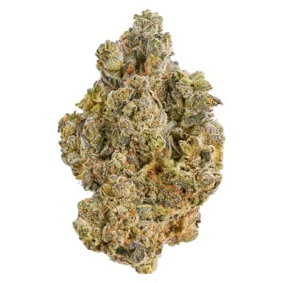 Broken Coast Cannabis La Bomba - (Jet Fuel Gelato x Wedding Cake) | 3.5g
