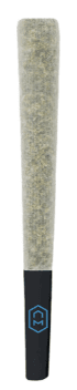 Naked Mummer Cactus Breath Pre-Roll | 1g