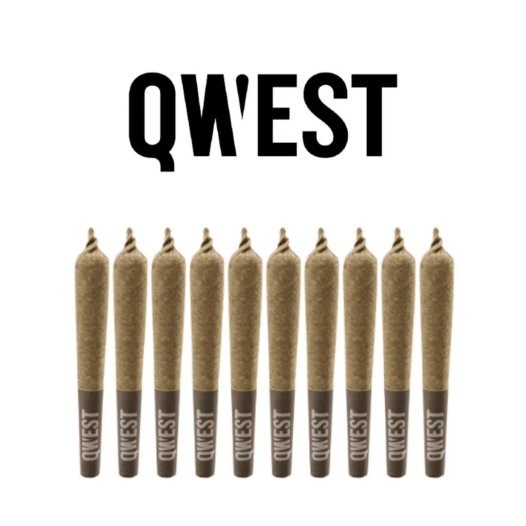 Qwest QWEST 35's Platinum Gas Pre-Roll 10x0.35g