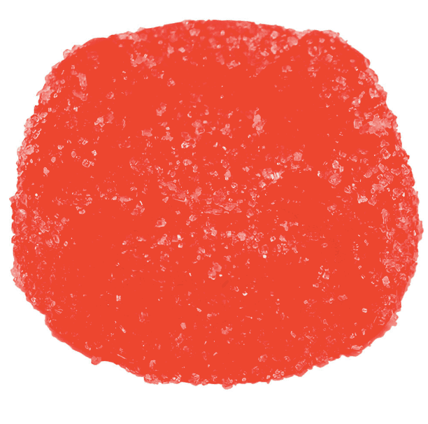 No Future CBG Bomb - The CBG Red One | 1 Piece
