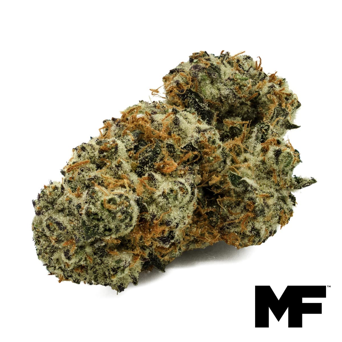 Modern Flower