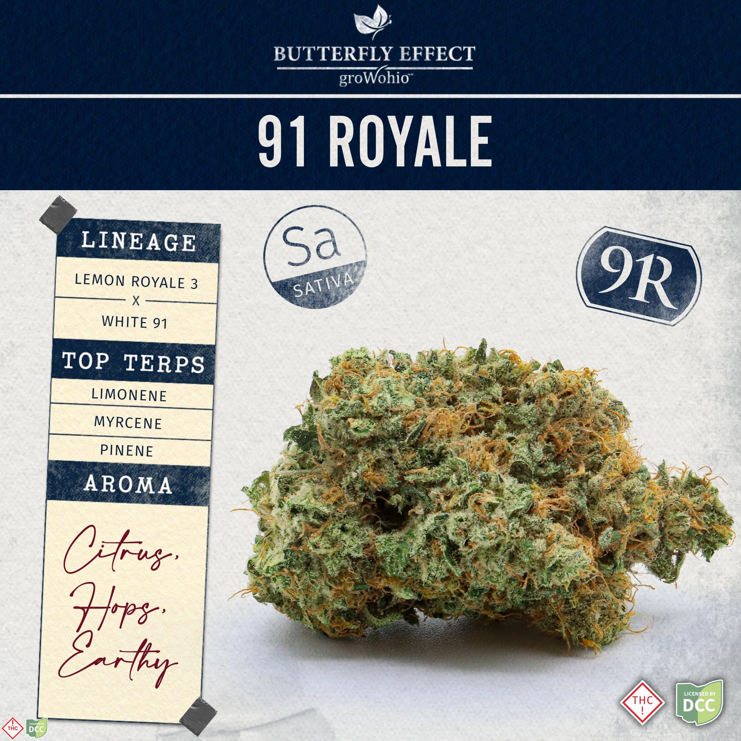 Butterfly Effect Flower