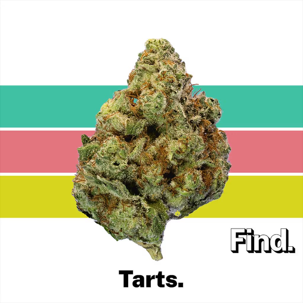 Find. Tarts