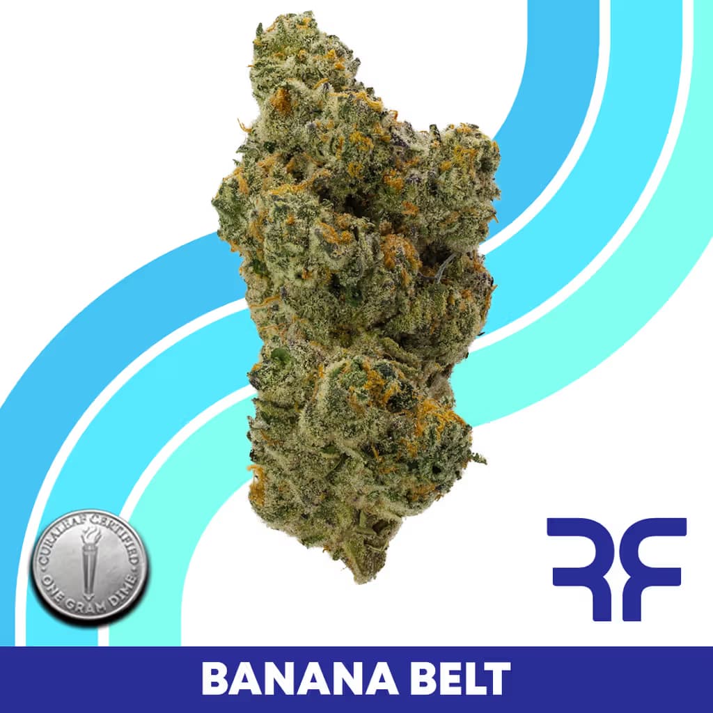 Reef Banana Belt Flower