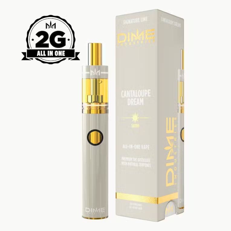 Dime Industries Cantaloupe Dream - Disposable - 2g