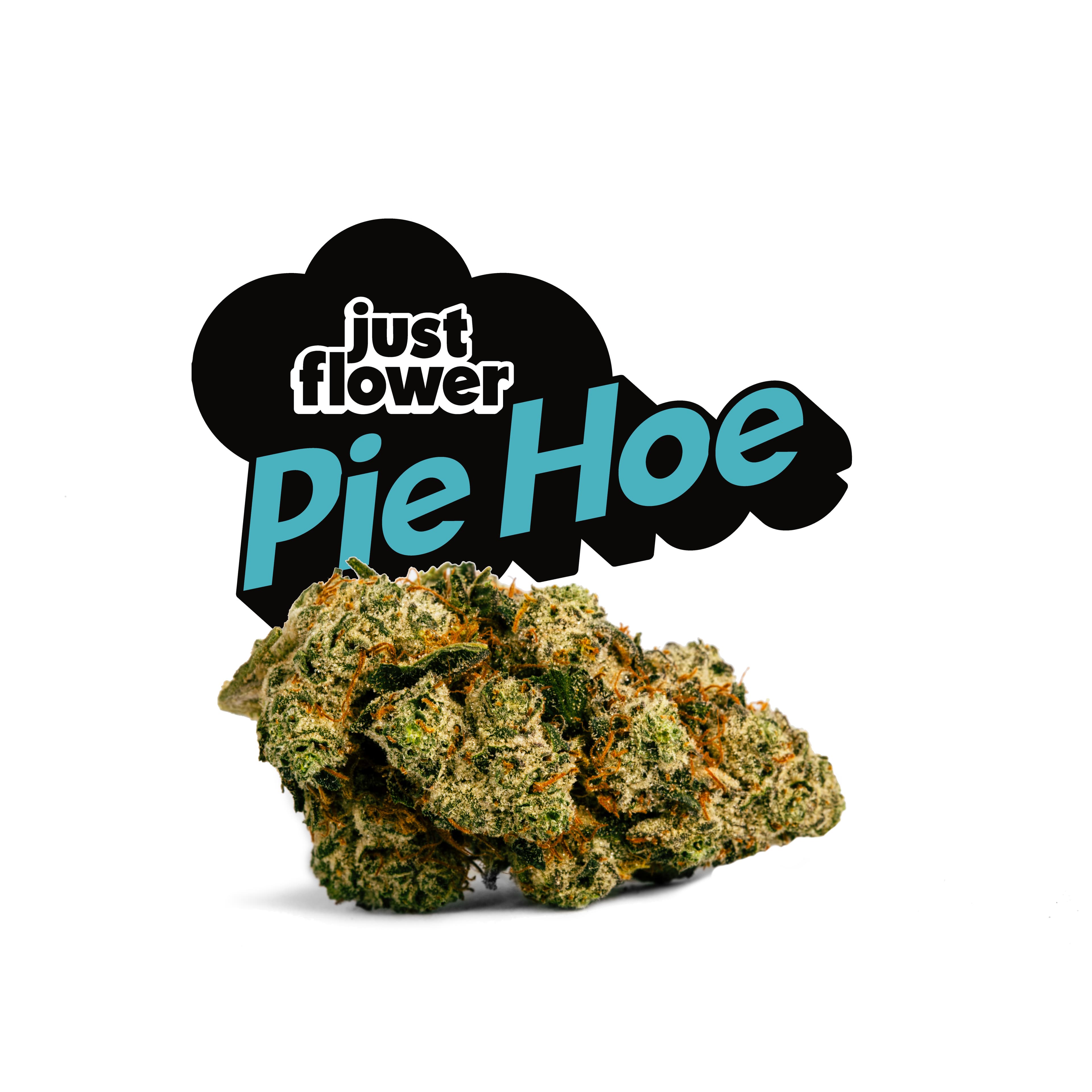 Just Flower