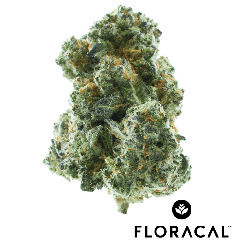 FloraCal Farms Kush Mints Craft Cannabis Flower
