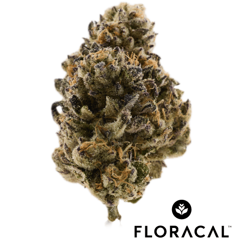 FloraCal Zooted Samoas Craft Cannabis Flower